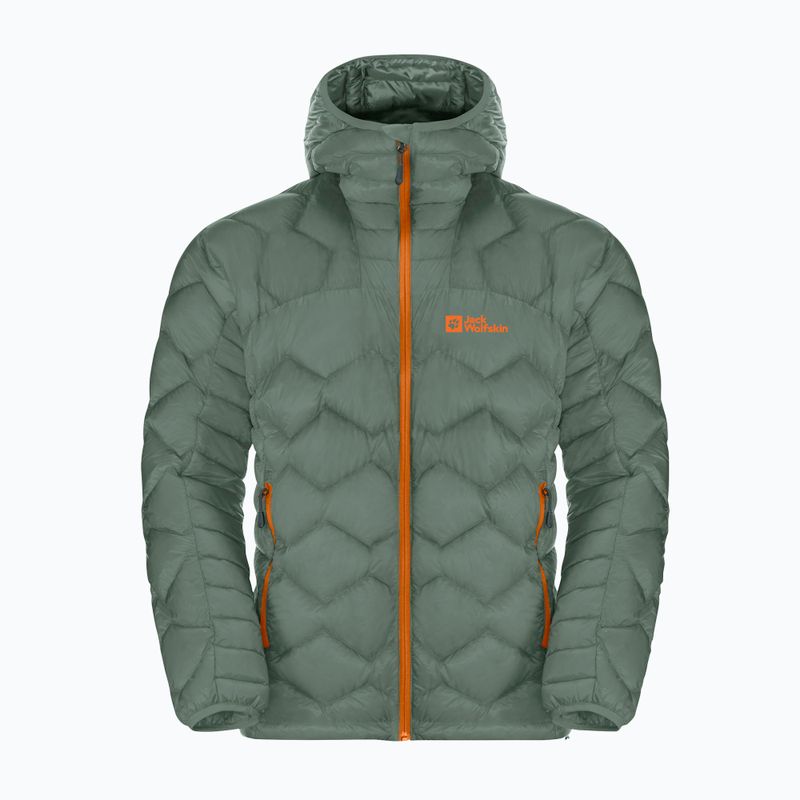 Kurtka skiturowa męska Jack Wolfskin Alpspitze Down Hoody hedge green 7