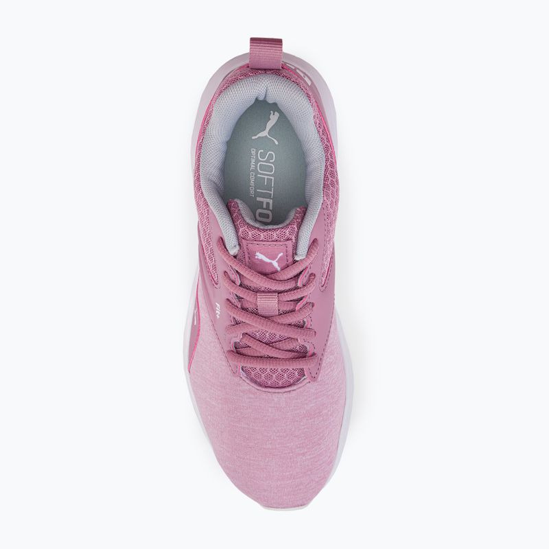 Buty do biegania damskie PUMA Nrgy Comet pale grape/puma white 6