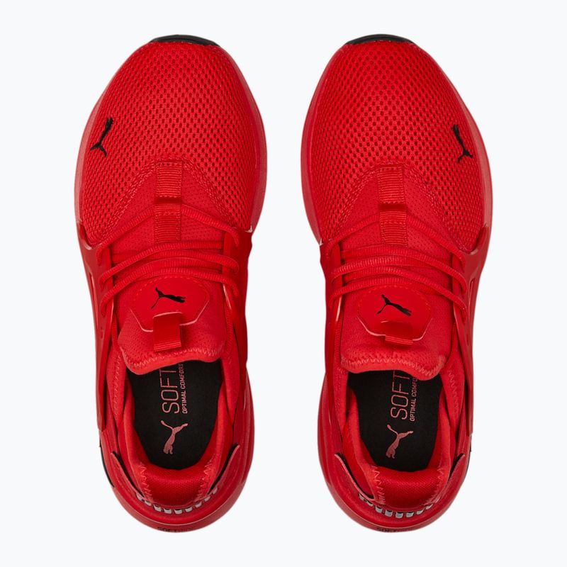 Buty męskie PUMA Softride Enzo Evo high risk red/puma black 12