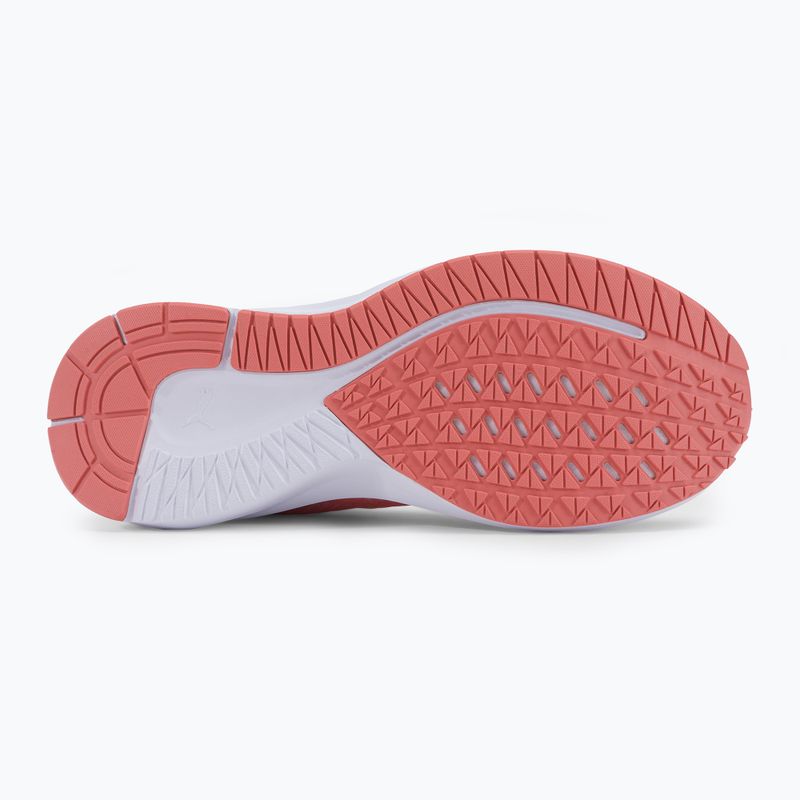 Buty do biegania PUMA Aviator Profoam Sky carnation pink/puma white 5