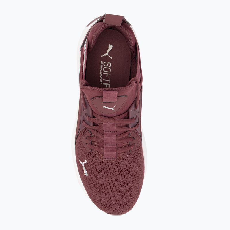 Buty do biegania damskie PUMA Softride Enzo Nxt wood violet/puma silver 6
