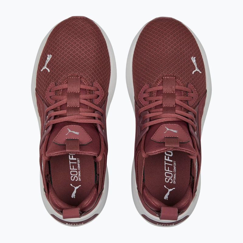 Buty do biegania damskie PUMA Softride Enzo Nxt wood violet/puma silver 14