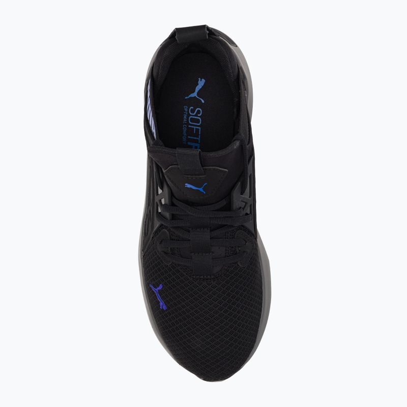 Buty do biegania męskie PUMA Softride Enzo Nxt puma black/royal sapphire 6
