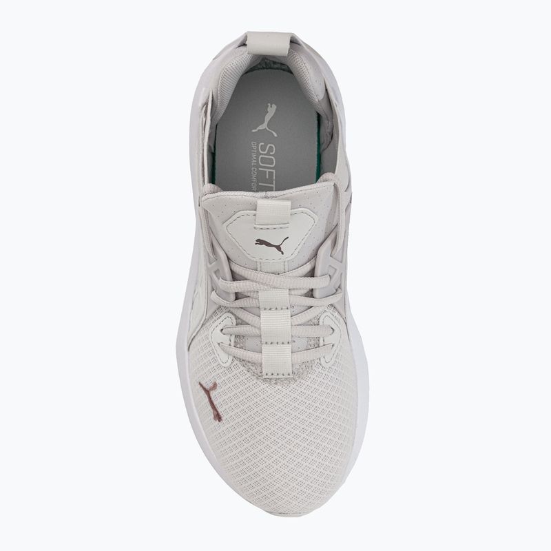 Buty do biegania damskie PUMA Softride Enzo Nxt feather gray/rose gold 6
