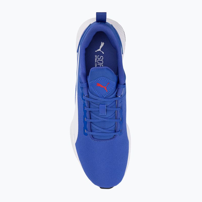 Buty do biegania męskie PUMA Flyer Runner Mesh royal sapphire/puma red 6