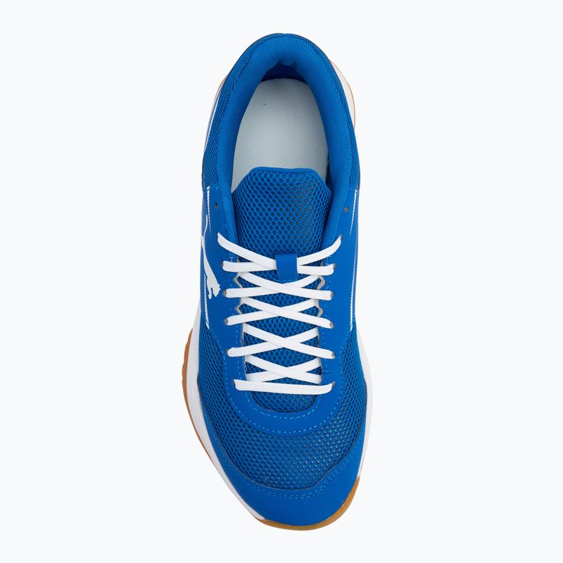 Buty do sportów halowych męskie PUMA Varion II puma team royal/puma white/gum 5