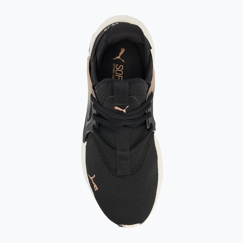 Buty damskie PUMA Softride Enzo Evo Molt Met black/gold/warm white 5