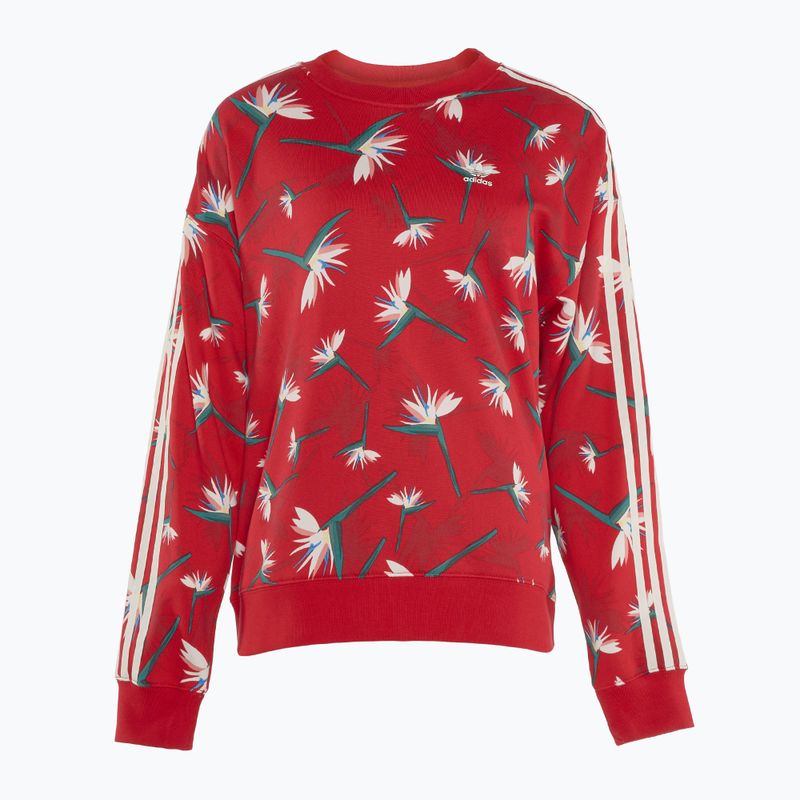 Bluza damska adidas Thebe Magugu Crew power red/multicolor