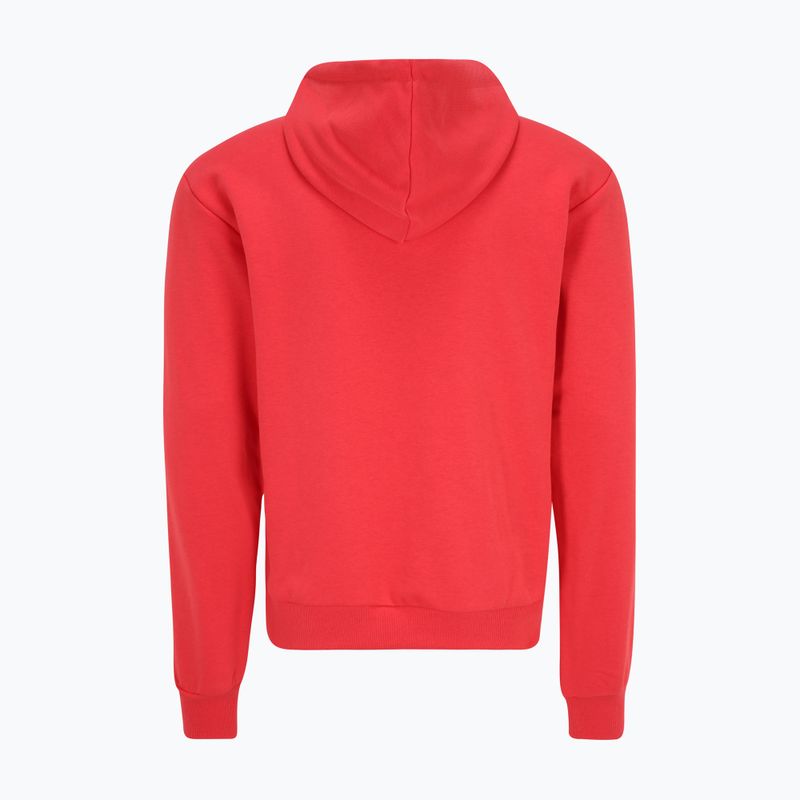 Bluza męska FILA Bengel Regular Hoody cayenne 6