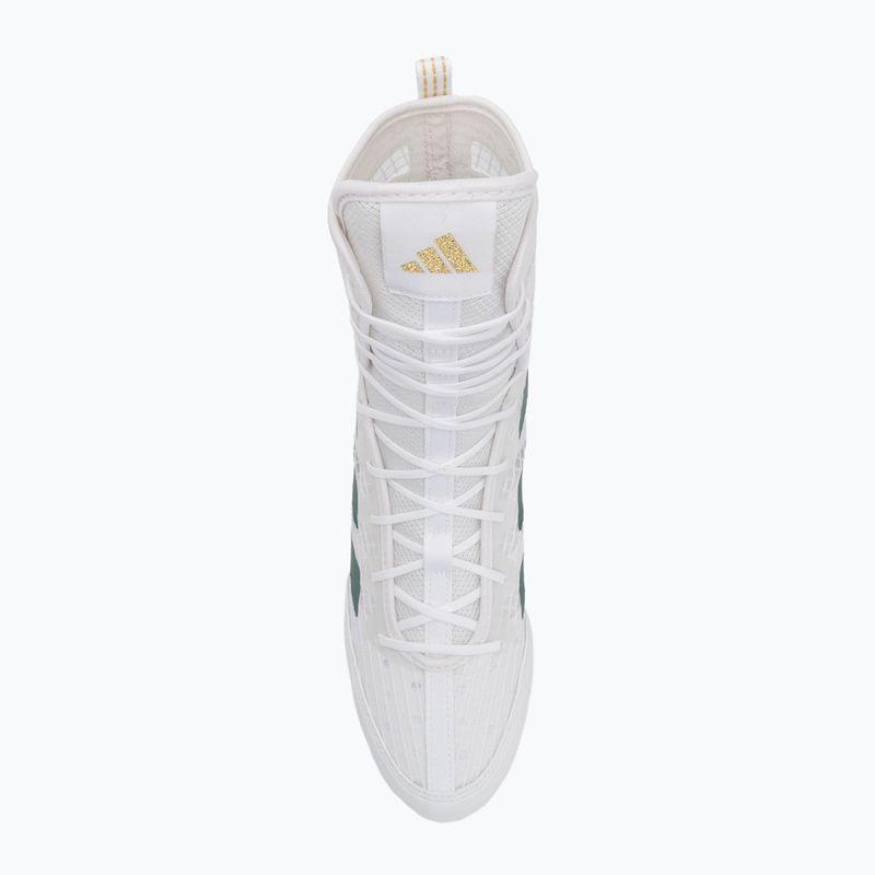 Buty bokserskie adidas Box Hog 4 cloud white/collegiate green/core black 5
