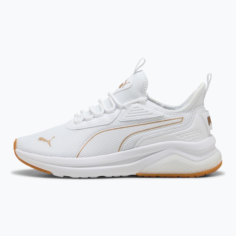 Buty damskie PUMA Amplifier puma white/puma gold 2