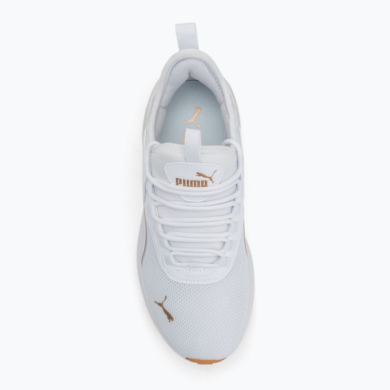 Buty damskie PUMA Amplifier puma white/puma gold 5
