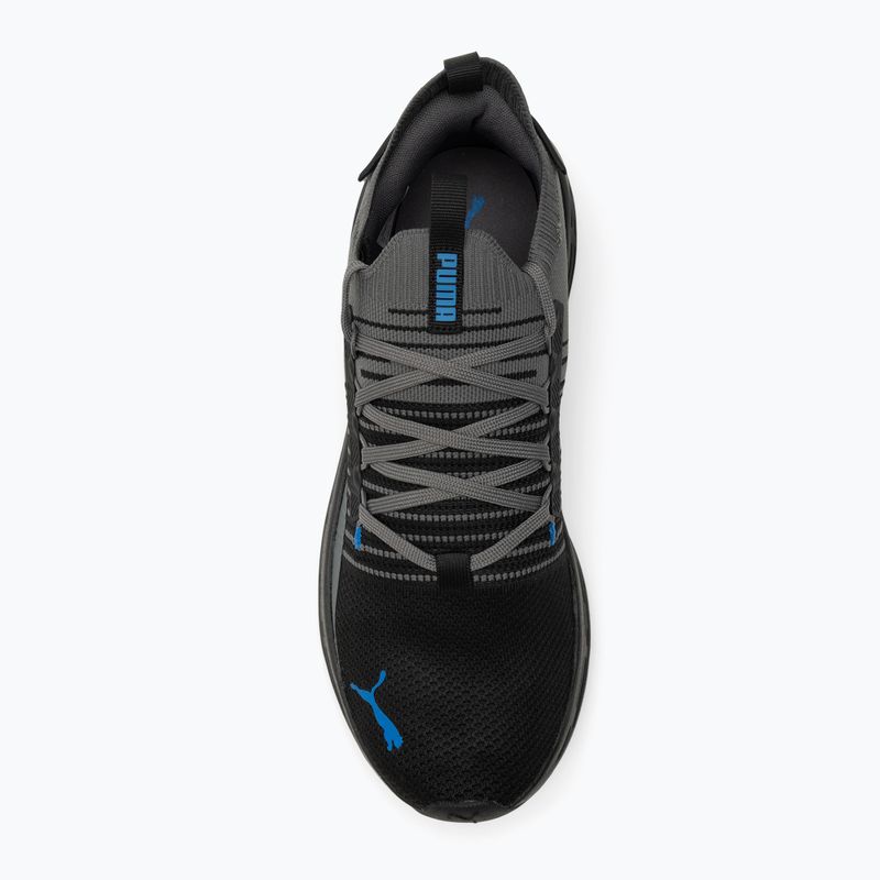 Buty do biegania PUMA Softride Symmetry Fuzion puma black/cool dark gray/puma team royal 5