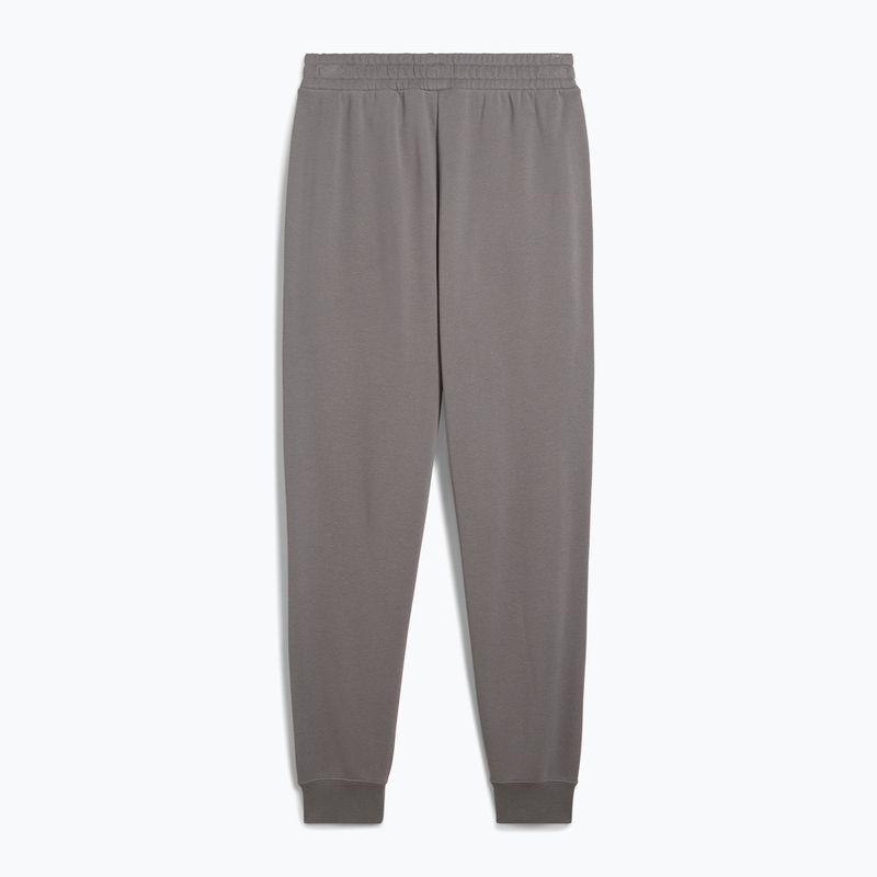 Spodnie męskie PUMA ESS No. 1 Logo Sweatpants TR CL cast iron 2