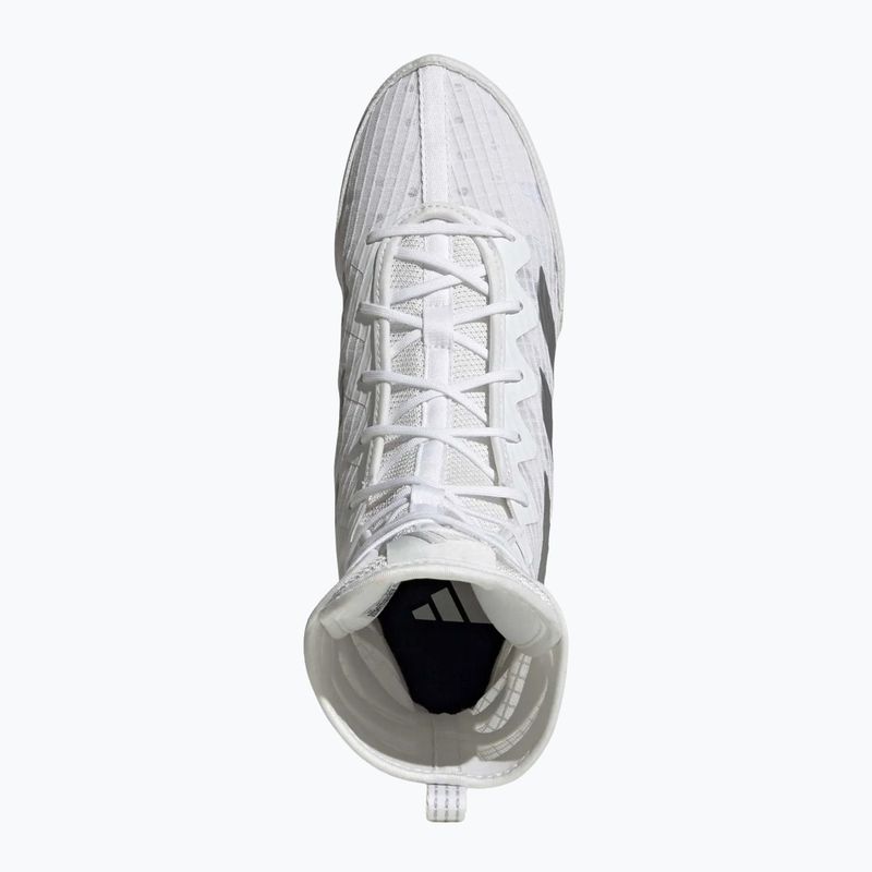 Buty bokserskie adidas Box Hog 4 white/silver 5
