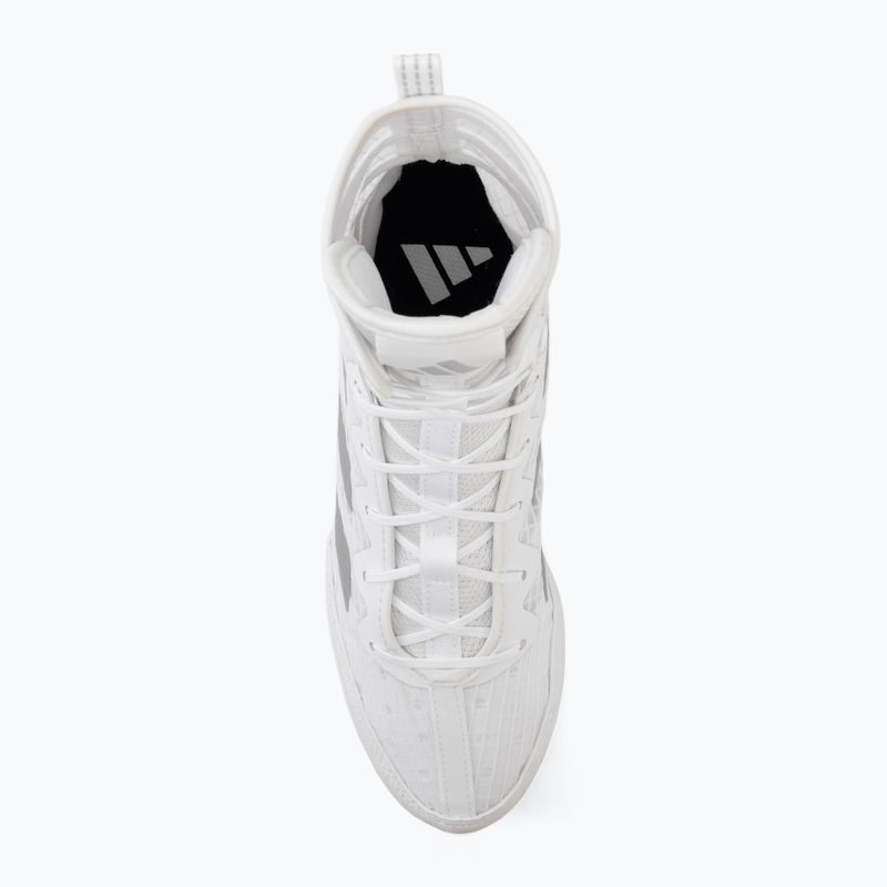 Buty bokserskie adidas Box Hog 4 white/silver 5
