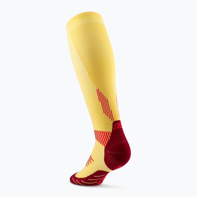 Skarpety kompresyjne damskie CEP Run Tall 5.0 marigold/burgundy 3