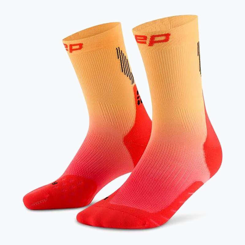 Skarpety kompresyjne męskie CEP Run Edt. Gradient Mid Cut Compression 5.0 red/marigold fade