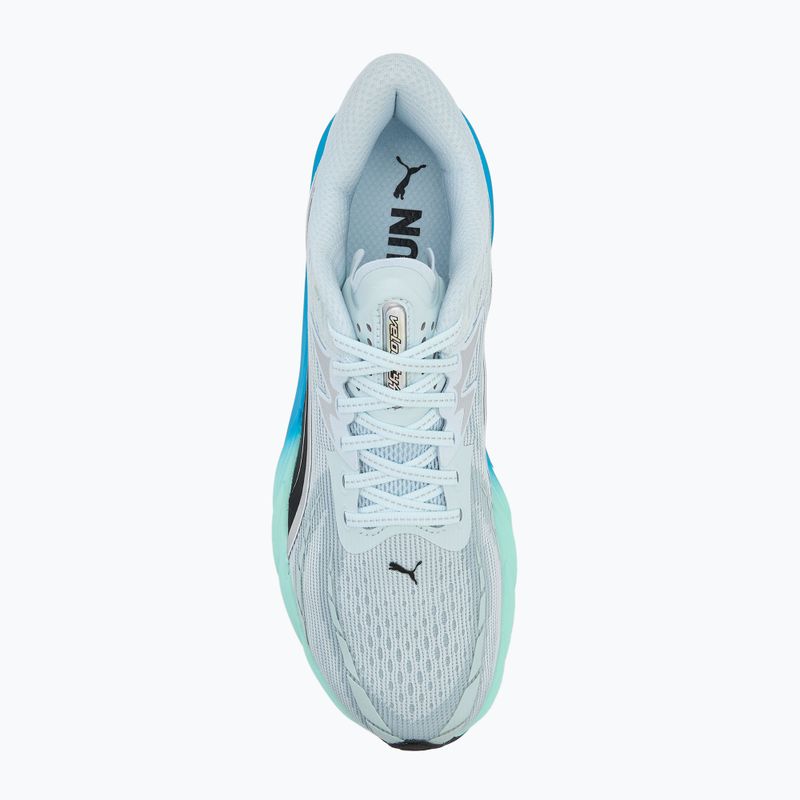 Buty do biegania męskie Puma Velocity Nitro 4 sea glass/speed blue 5
