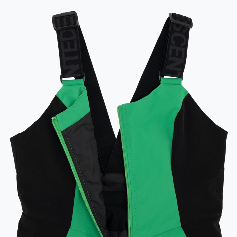Spodnie narciarskie Descente Velche 19 bio green 4