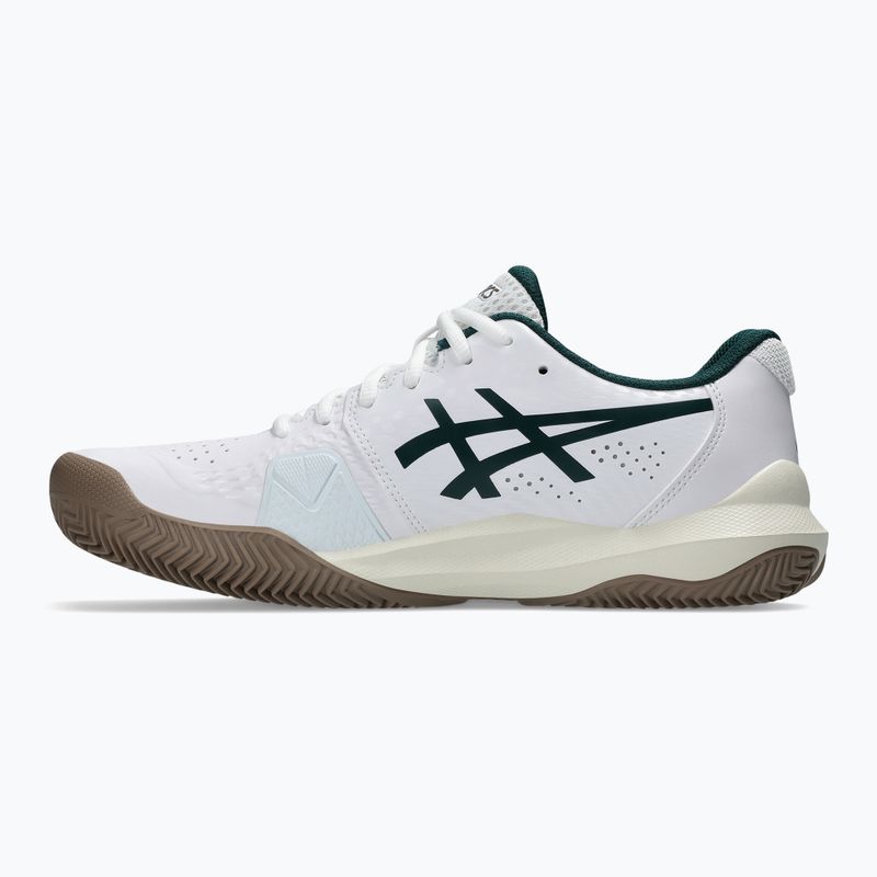 Buty do tenisa męskie ASICS Gel-Challenger 14 Clay white/saxon green 9