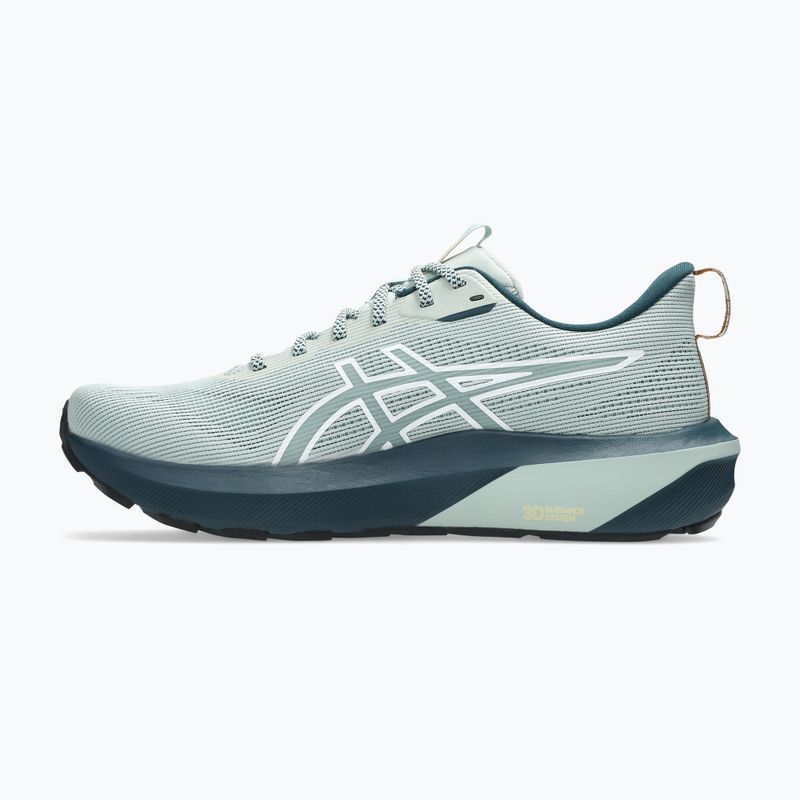 Buty do biegania męskie ASICS GT-1000 14 TR nature bathing/lichen rock 9