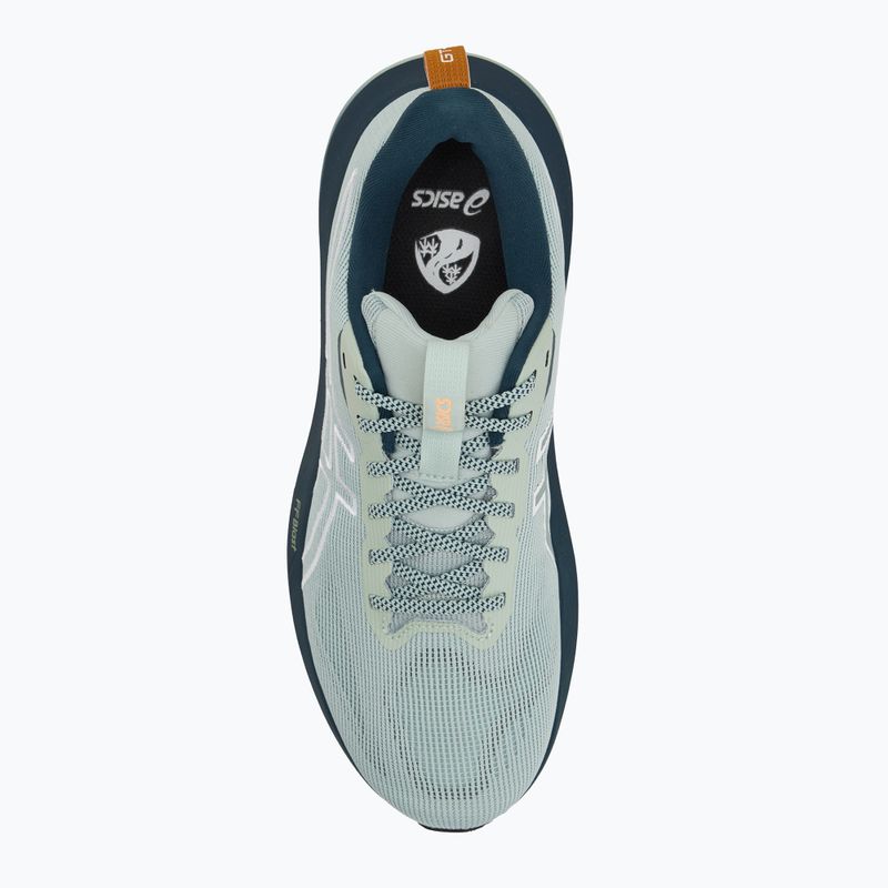 Buty do biegania męskie ASICS GT-1000 14 TR nature bathing/lichen rock 5