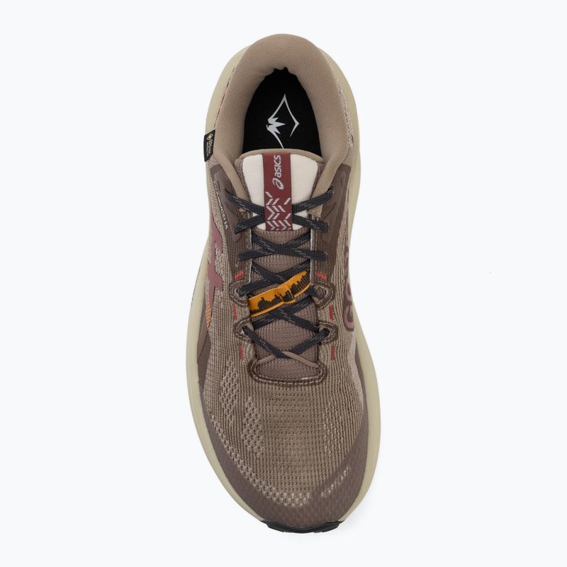 Buty do biegania męskie ASICS Trabuco 14 GTX taupe grey/oatmeal 5