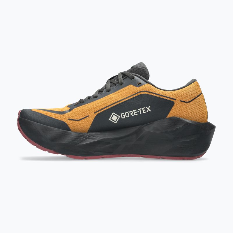 Buty do biegania męskie ASICS Novablast 6 GTX sandstorm/black 3