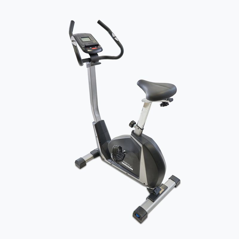 Rower stacjonarny Horizon Fitness Paros E Upright 2