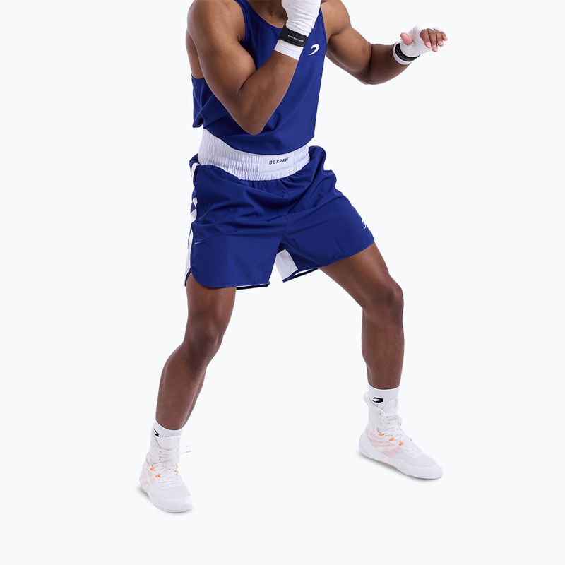 Spodenki treningowe męskie BOXRAW Stevenson V2 blue/white 5