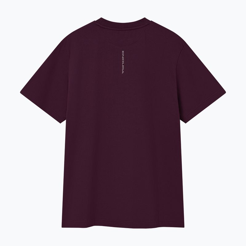Koszulka rowerowa Endura Pedal Power Graphic Tee sage green 2