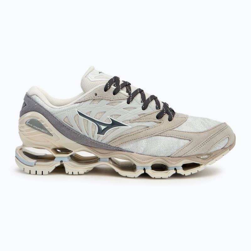 Buty Mizuno Wave Prophecy LS nimbus cloud/magnet/silver cloud 2
