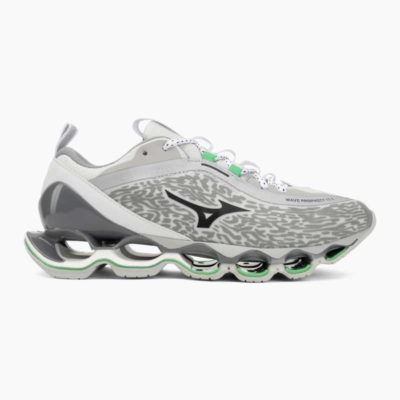Buty Mizuno Wave Prophecy 13.2 harbor mist/black/vibrant green 2