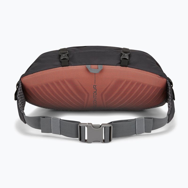 Saszetka nerka Lowe Alpine Mesa 6 black 2