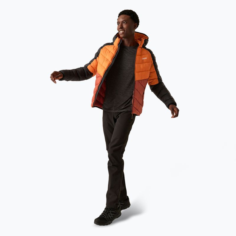 Kurtka męska REGATTA Hooded Dalent fox/red ochre 2