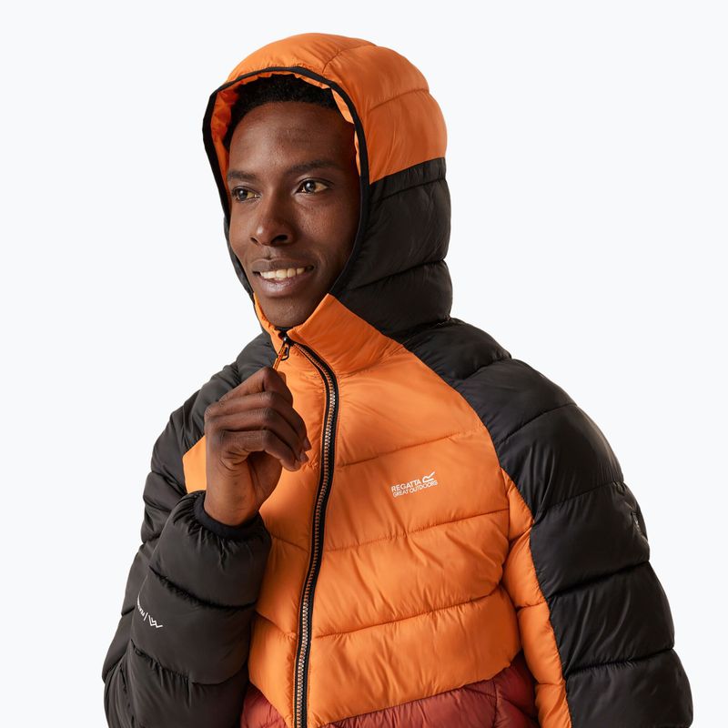 Kurtka męska REGATTA Hooded Dalent fox/red ochre 4