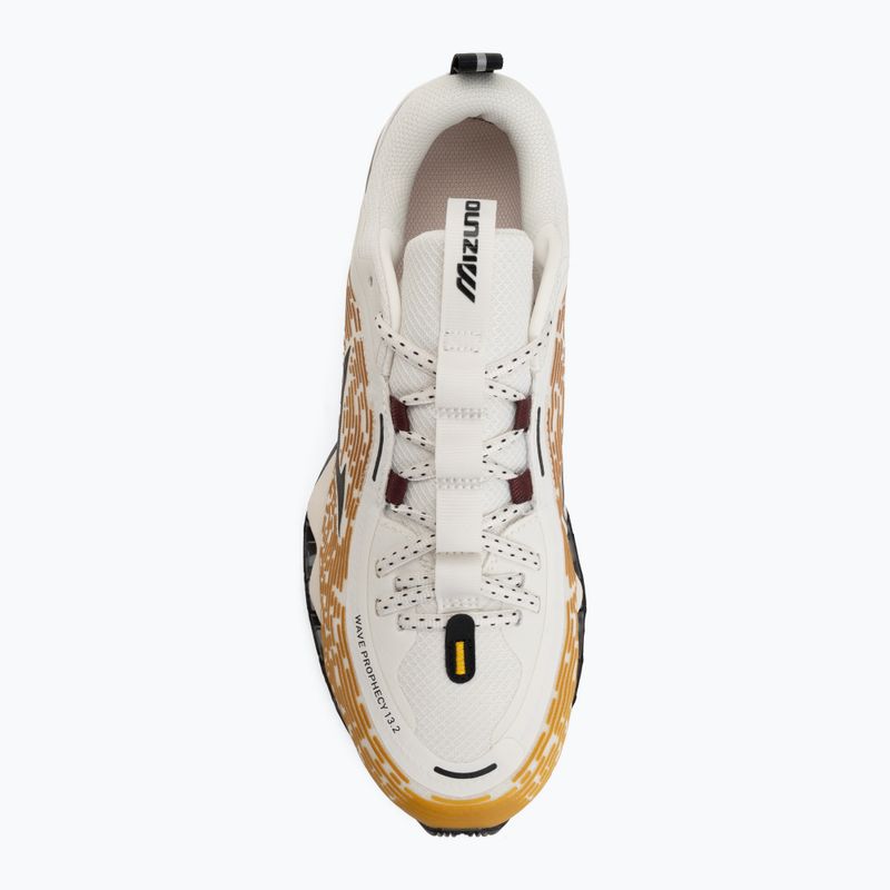 Buty Mizuno Wave Prophecy 13.2 Harvest Gold/Black/Snow White 5