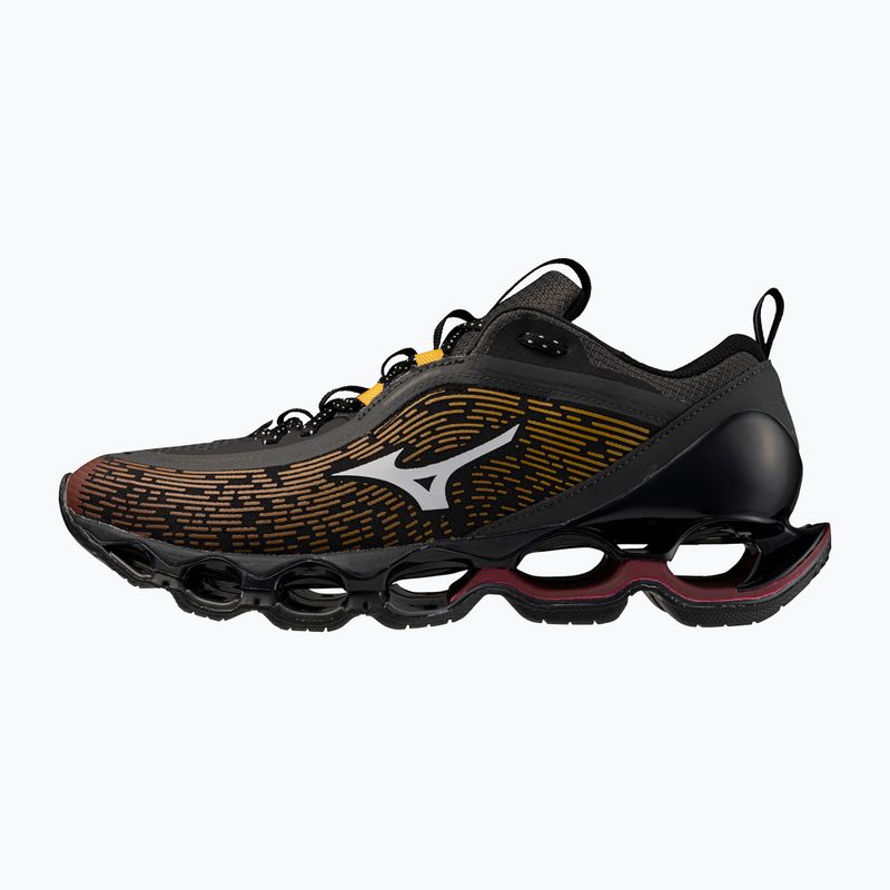 Buty Mizuno Wave Prophecy 13.2 Henna/Cloudscape/Black Oyster 2