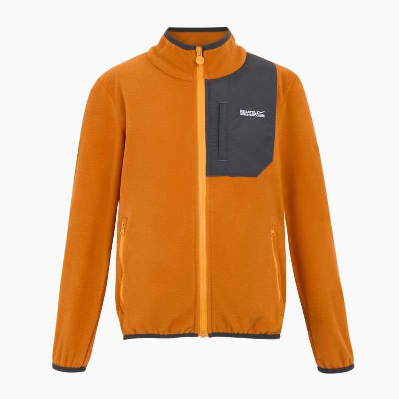 Bluza polarowa dziecięca REGATTA Frankie Full Zip fox 5