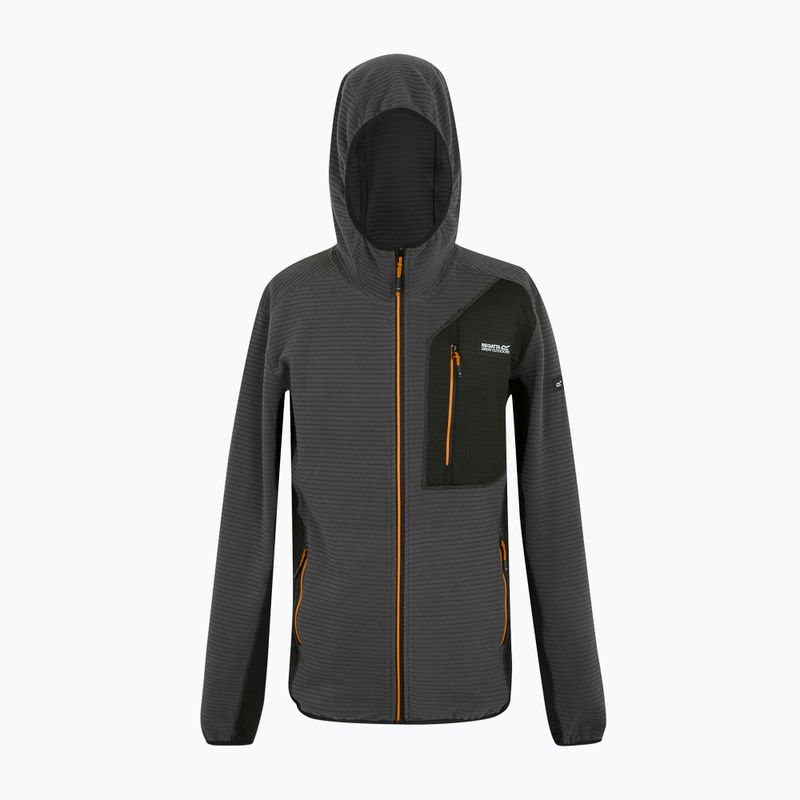Bluza męska REGATTA Lakewright ash/black 7