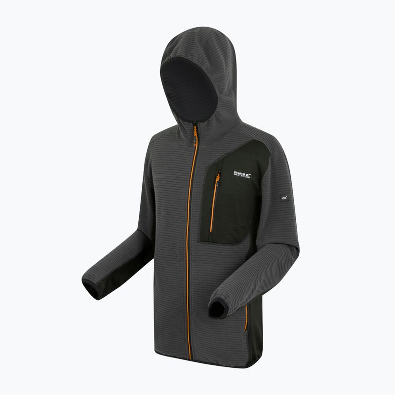 Bluza męska REGATTA Lakewright ash/black 9