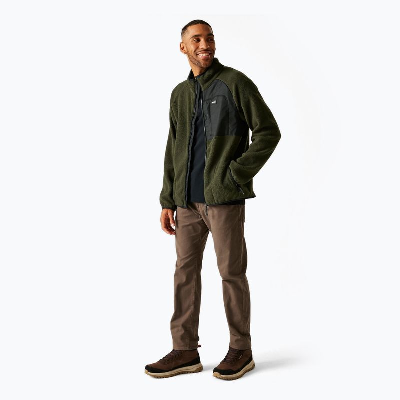 Bluza polarowa męska REGATTA Frankie Borg dark khaki 2