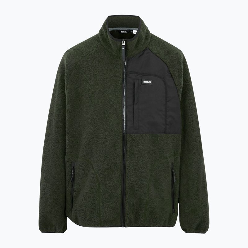 Bluza polarowa męska REGATTA Frankie Borg dark khaki 5