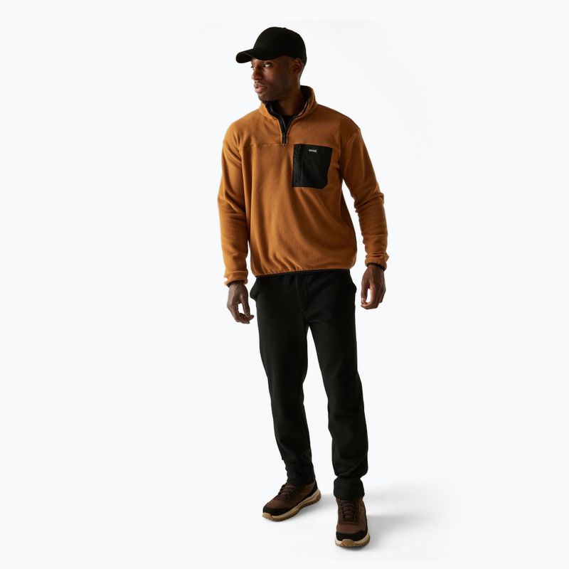 Bluza polarowa męska REGATTA Frankie Half Zip brown 2