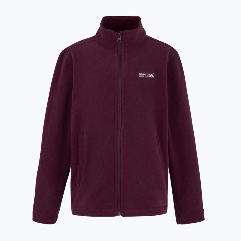 Bluza polarowa dziecięca REGATTA King II fig