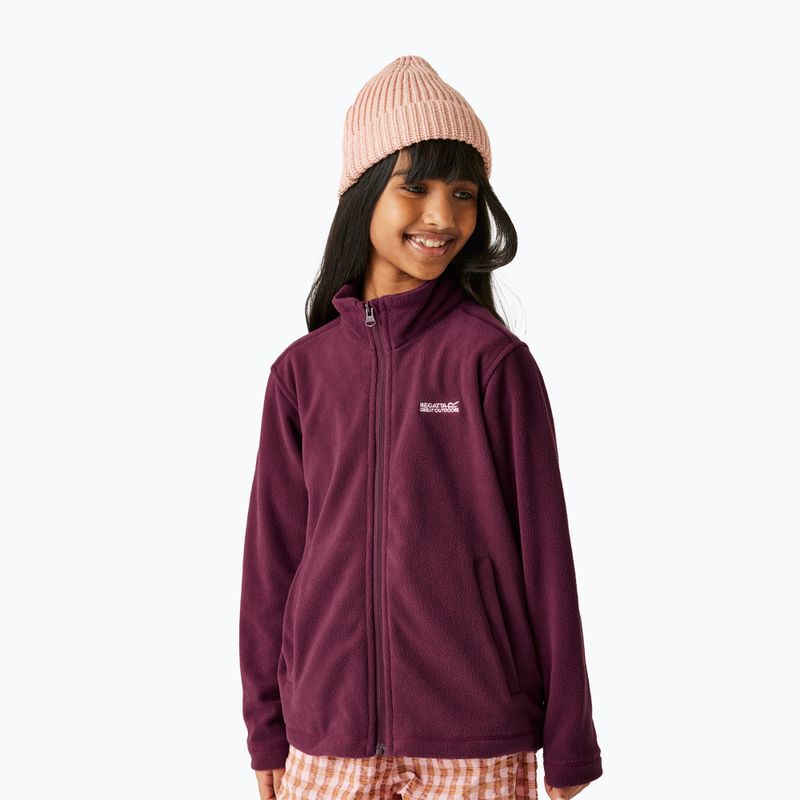 Bluza polarowa dziecięca REGATTA King II fig 3