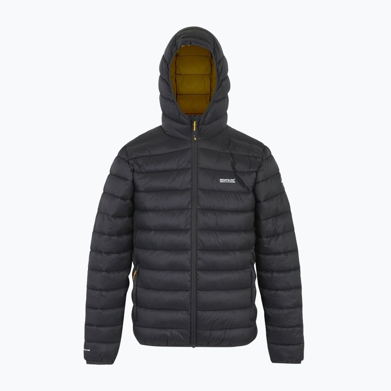 Kurtka męska REGATTA Hooded Marizion ash/gold 8