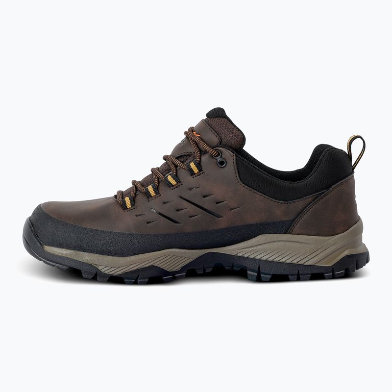 Buty trekkingowe męskie REGATTA Blake Low peat/wood 10