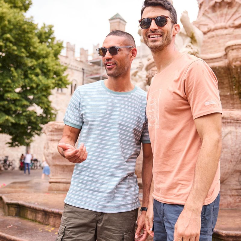 Koszulka męska Regatta ClineIX italian clay 8